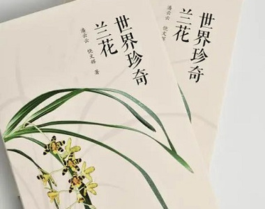 200种世界罕见野生兰花，内含400多张精美照片/兰科中心新书，与君分享