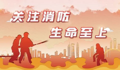 《深圳经济特区消防条例》